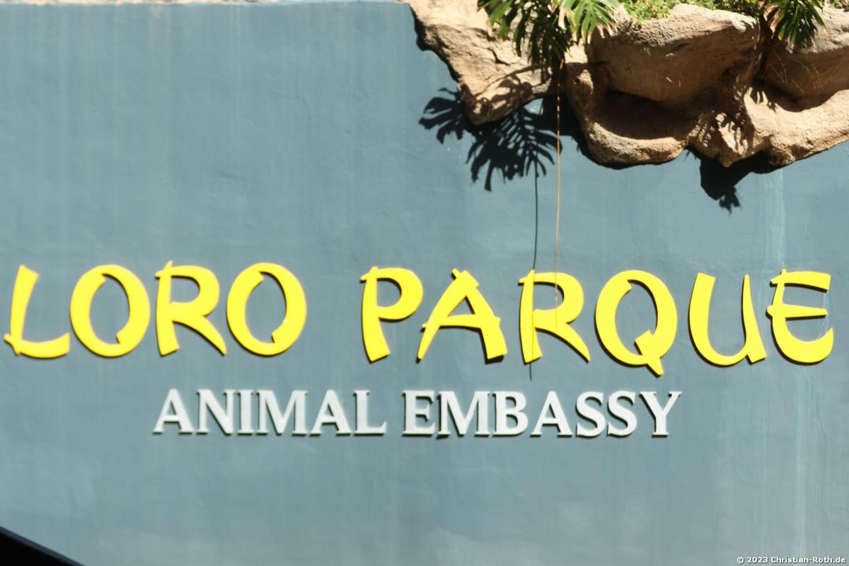 Loro Parque @ Puerto de la Cruz 07.05.2023